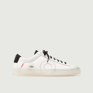 Low 1 | Yin Yang (Orthopedic)